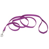 Coastal Training Lead повідець для собак, нейлон, 1,5 см Х1, 8м, орхідея.